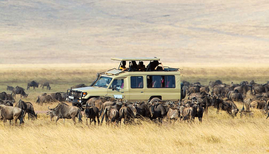 7-days-kenya-safari