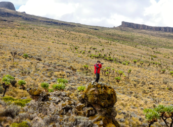 comparing-uganda-rwanda-safari